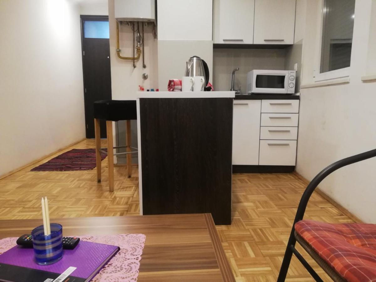 Apartments Leon サラエヴォ エクステリア 写真