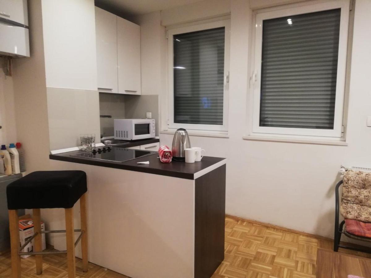 Apartments Leon サラエヴォ エクステリア 写真